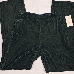 A New Day Velvet High Rise Pants Women’s Size 2 Emerald Green NWT Luxe Holiday